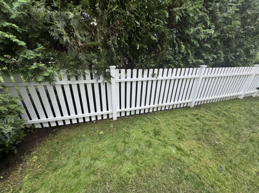 Fence Cleaning after