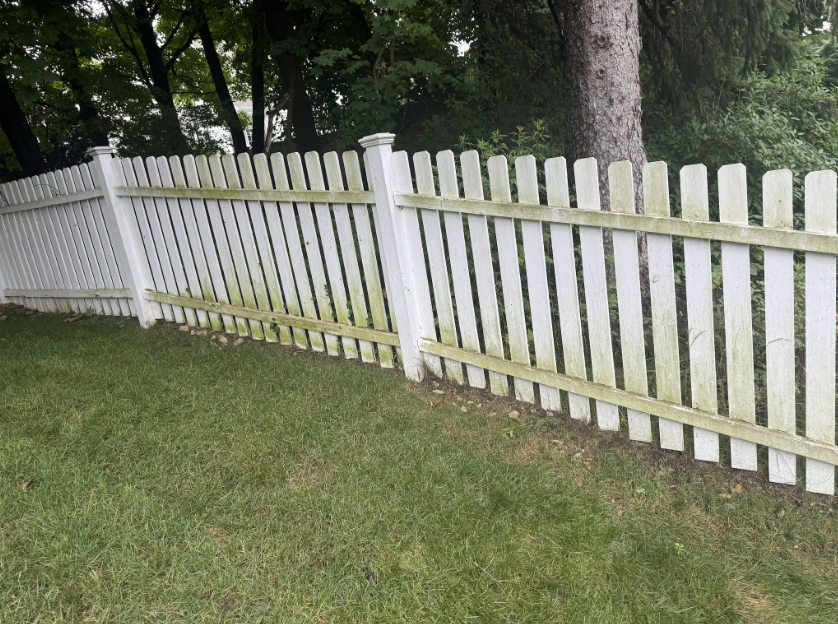 Fence Cleaning before