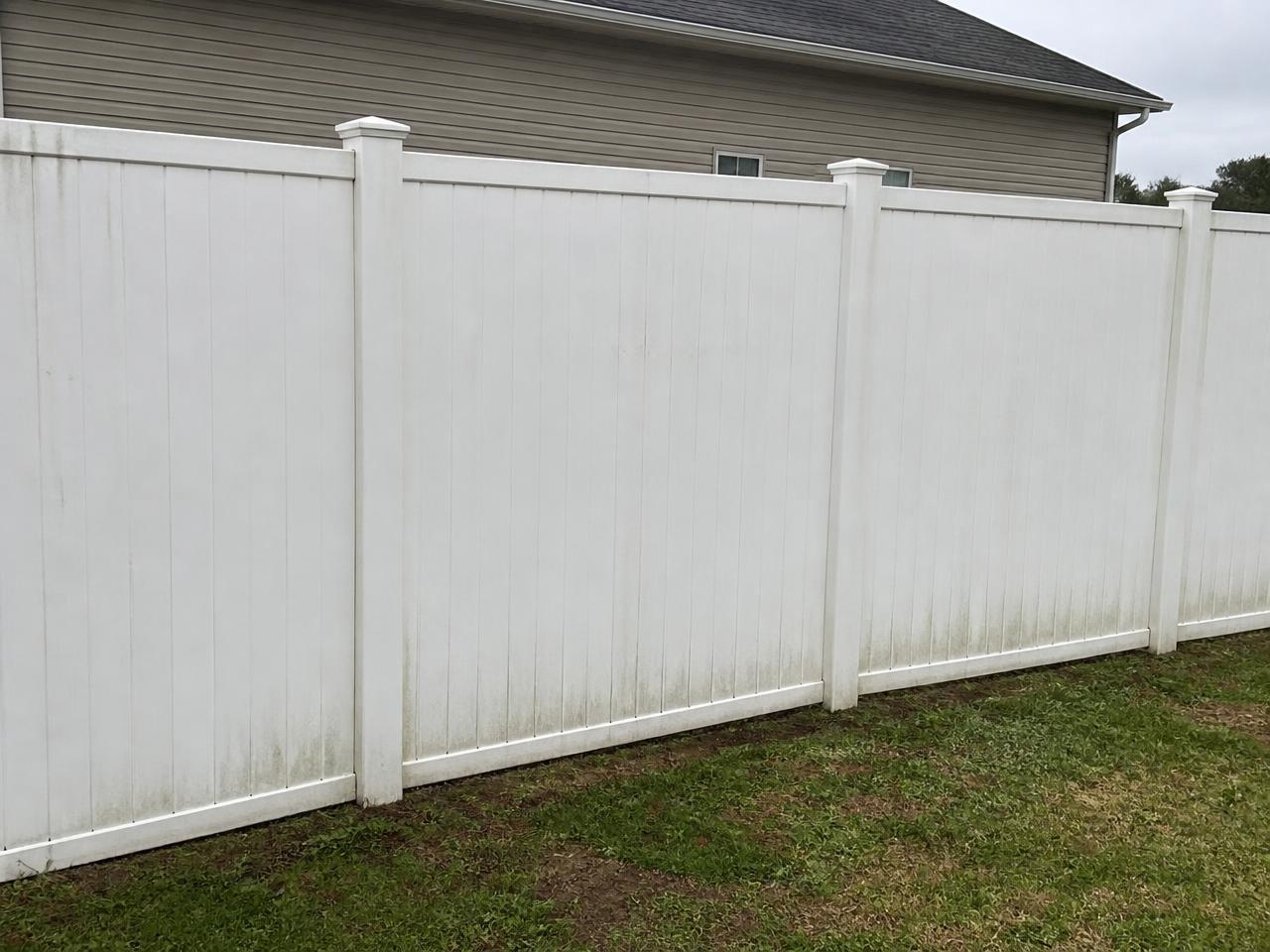 Fence Cleaning before